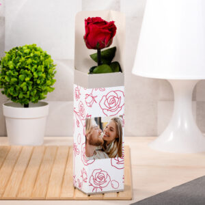 Rosa disecada "Espiral rosas" con foto