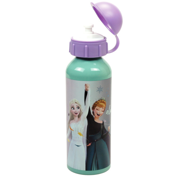 Botella de agua de aluminio Frozen